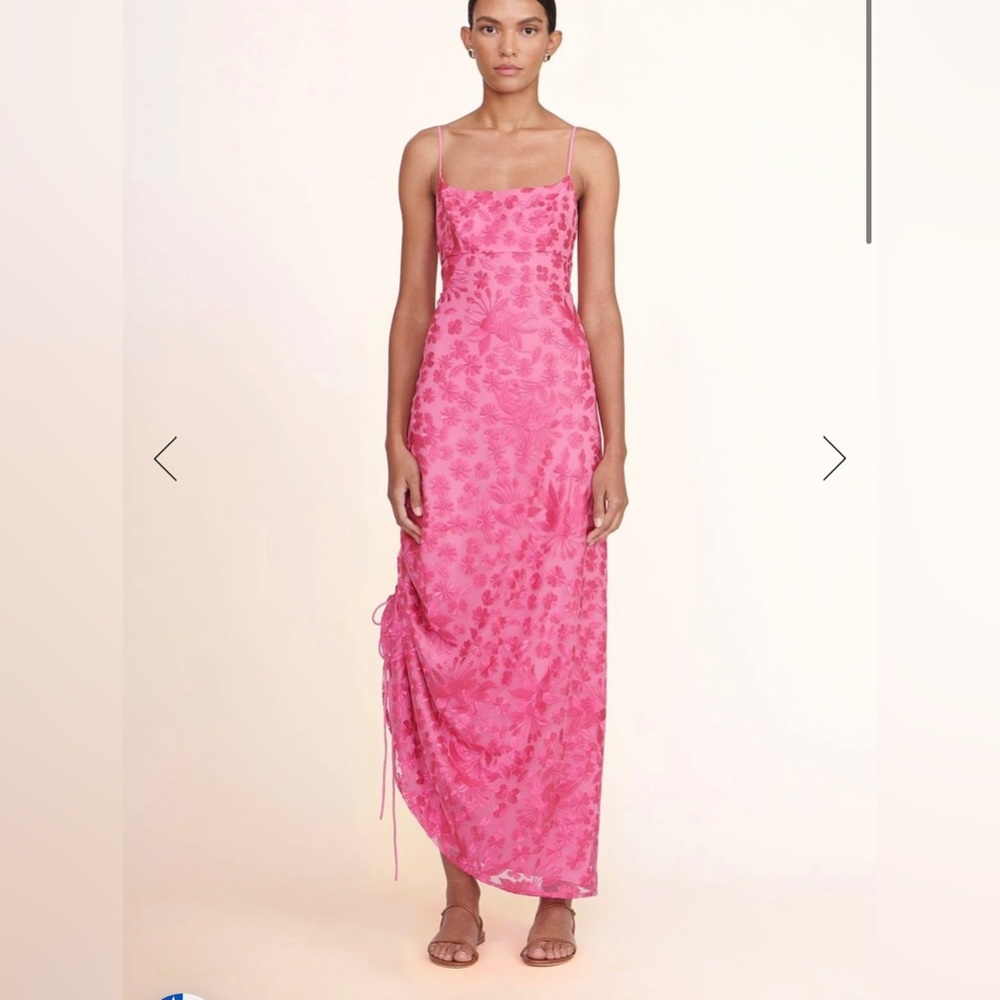 Staud Destiny Blossom Garden Party Dress - worn once; great condition!